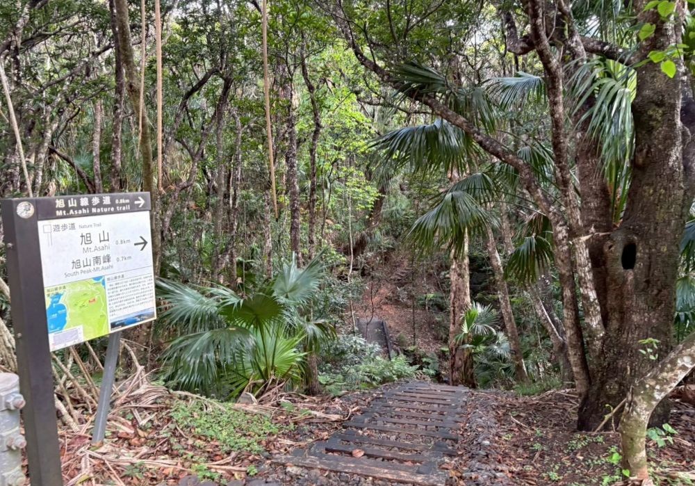 小笠原諸島 旭山 遊歩道