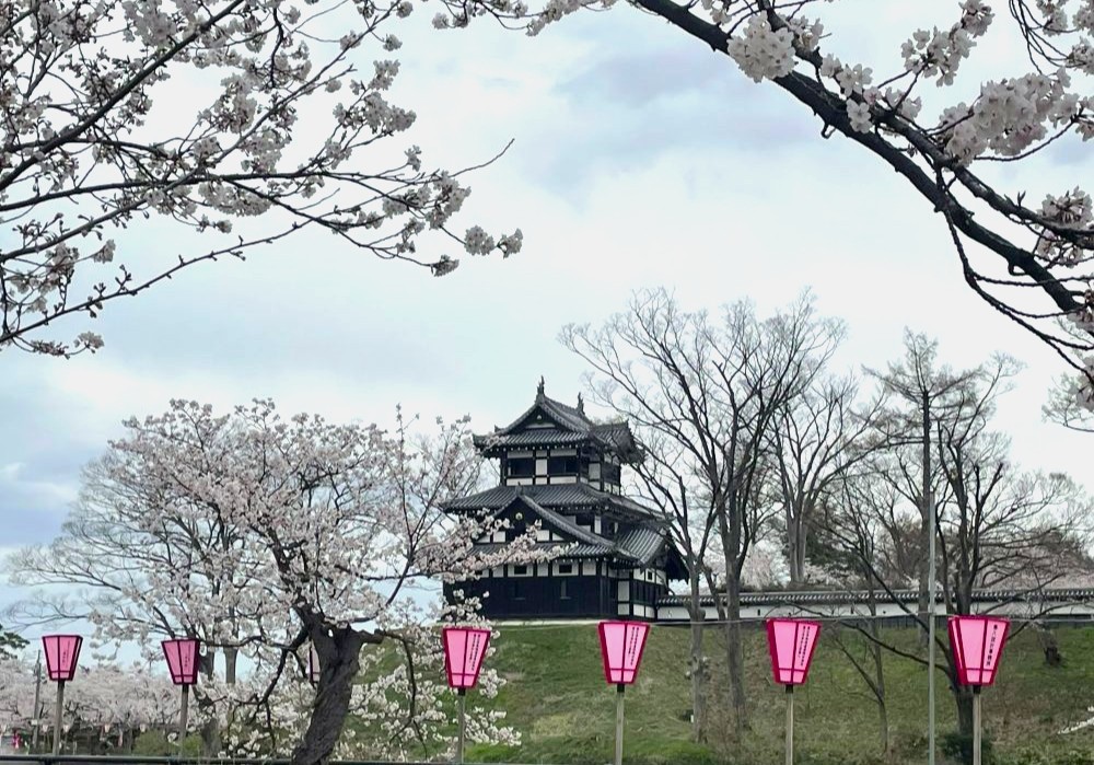 高田城址公園 観桜会